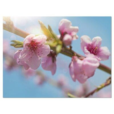 Made in Canada - Design Art 'Stem of Peach Blossom Flowers' Photographic Print on Wrapped Canvas in Home Décor & Accents