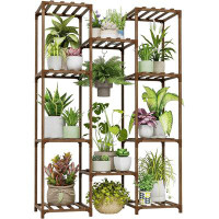 Arlmont & Co. Plant Shelf for Multiple Plants