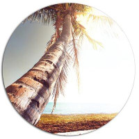 Design Art 'Huge Bent Coconut Tree To Beach' Photographic Print on Metal