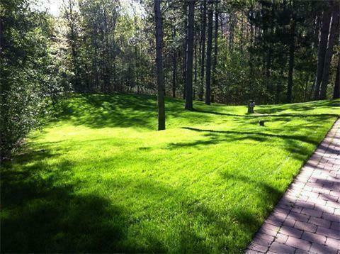 EARLY SPRING SOD SPECIAL FROM $1.50 SQ/FT FREE ESTIMATES NEW LAWN, NEW GRASS BOOK NOW!! in Lawnmowers & Leaf Blowers in Markham / York Region - Image 4