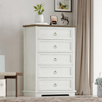 Winston Porter Nihasvi 5 - Drawer 43.7" Tall Dressers Chests for Bedroom,Living Room,Accent Cabinets