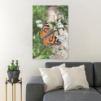 Gracie Oaks Orange Black And White Butterfly Perched On Green Plant - 1 Piece Rectangle Graphic Art Print On Wrapped Can