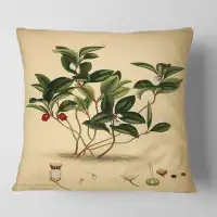 East Urban Home Vintage Plant Life III Floral Pillow