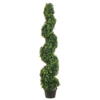 Darby Home Co Pond Spiral Top Boxwood Topiary in Planter