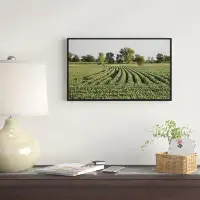 East Urban Home 'Wisconsin Soybean Field Rows' Framed Photographic Print on Wrapped Canvas