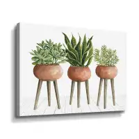 ArtWall Clay Pot Trio Of Plants Gallery
