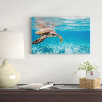 Made in Canada - East Urban Home Large Hawksbill Sea Turtle - Wrapped Canvas Photograph Print