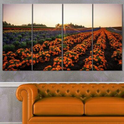 Design Art 'Beautiful Japanese Flower Farm' 4 Piece Photographic Print on Wrapped Canvas Set in Home Décor & Accents