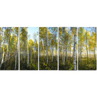 Made in Canada - Design Art Metal 'Green Autumn Trees' Photographic Print