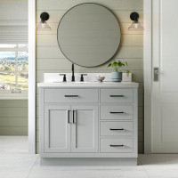 Wildon Home® Penrith 43" Single Bathroom Vanity Set