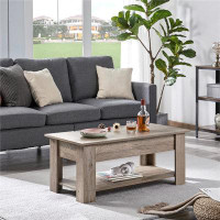 Greyleigh™ Olinger Lift Top 4 Legs Coffee Table with Storage