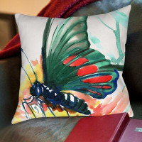 August Grove Islesboro Butterfly Square Cotton Pillow Cover & Insert