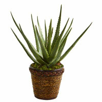 Bay Isle Home™ Artificial Aloe Plant in Basket