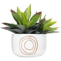 Mercer41 Ablah Terracotta Pot Planter