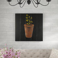 Gracie Oaks 'Plant of Marjolaine' Oil Painting Print on Wrapped Canvas