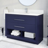 Ebern Designs Rio II 48" W x 22" x 35" H Single Bathroom Vanity with Drawer Organizer
