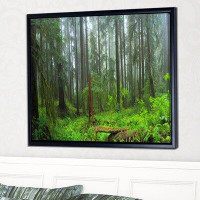 East Urban Home 'Hoh Rain Forest' Floater Frame Photograph on Canvas
