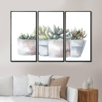 Bungalow Rose Cactus And Succulent House Plants III - Farmhouse Framed Canvas Wall Art Set Of 3