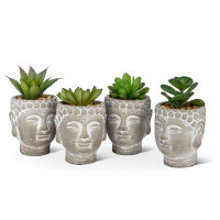 Primrue Set Of 4 Succulents In Buddha Head Pots Plant