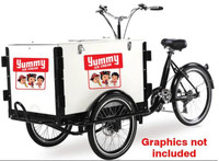 Ice cream tricycle - make huge profits - Create a profitable summer job