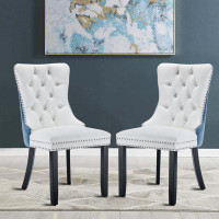House of Hampton Jametra 2-Piece Tufted Velvet Upholstered Parsons Chair