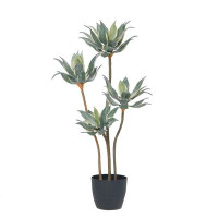 Primrue 50" Artificial Succulent in Pot - 76% Off