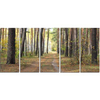 Made in Canada - Design Art 'Pathway in Autumn Pine Forest' 5 Piece Photographic Print on Wrapped Canvas Set