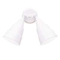 Darby Home Co Mulgrave 2-Light Outdoor Armed Sconce