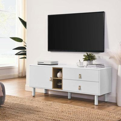 Latitude Run® Drawer TV cabinet with door in TV Tables & Entertainment Units