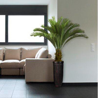 Laura Ashley Aislin Aaru Floor Cycas Palm Tree in Planter