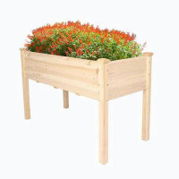 Millwood Pines Raised Garden Bed Wood Patio Elevated Planter Box Kit With Stand For Outdoor Backyard Greenhouse