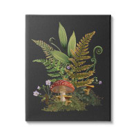 Stupell Industries Ferns Sprouting Woodland Mushroom Plants Canvas Wall Art By House Of Rose