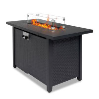 Wade Logan Inessa 24.8'' H x 43'' W Stainless Steel Propane Outdoor Fire Pit Table with Cover