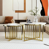 Wenty Modern Round Nesting Coffee Table Set 2-Piece White & Marbling Top Gold Base
