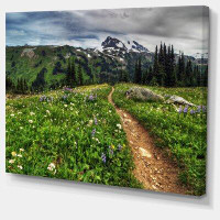 Design Art 'Path Through Flowering Fields' Photographic Print on Wrapped Canvas