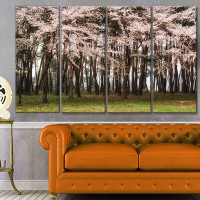 Design Art 'Cherry Blossoms in Pine Tree' Photographic Print Multi-Piece Image on Canvas