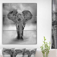Made in Canada - East Urban Home 'Large Elephant Bull Approaching' Graphic Art Print Multi-Piece Image on Wrapped Canvas