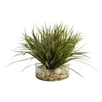Primrue Grass With Large White River Rock In Round Glass