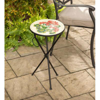 Winston Porter Indoor/Outdoor Geranium Folding Side Table
