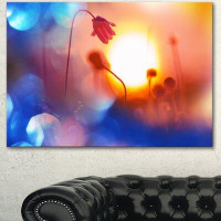 Design Art 'Beautiful Blurred Flowers at Sunset' Graphic Art on Wrapped Canvas