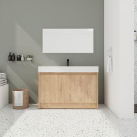 Latitude Run® 48" Freestanding Single Bathroom Vanity with Resin Top