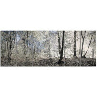 Design Art 'Dark Morning in Forest Panorama'  6 Piece Photographic Print Set on Canvas