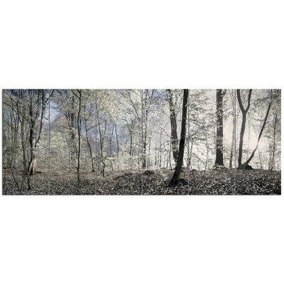 Design Art 'Dark Morning in Forest Panorama'  6 Piece Photographic Print Set on Canvas dans Art et objets de collection