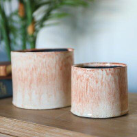 Dakota Fields Bryana 2-Piece Ceramic Pot Planter Set