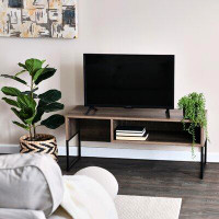 George Oliver Larin TV Stand for TVs up to 43"