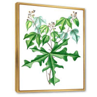 East Urban Home Vintage Drawing Of Wild Plants - Print on Canvas