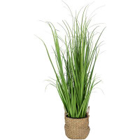 Northlight Seasonal 28" Artificial Onion Grass Plant In Basket
