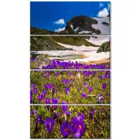 Made in Canada - Design Art 'Blooming Crocus Flowers in Rila Mountains' 4 Piece Photographic Print on Wrapped Canvas Set