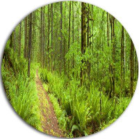 Made in Canada - Design Art 'Lush Forest Path Columbia River' Photographic Print on Metal