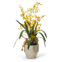 T&C Floral Company Orchids Floral Arrangement in Planter